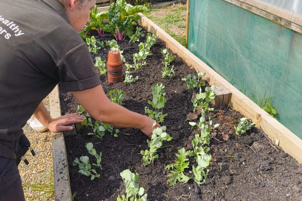 Growing Works