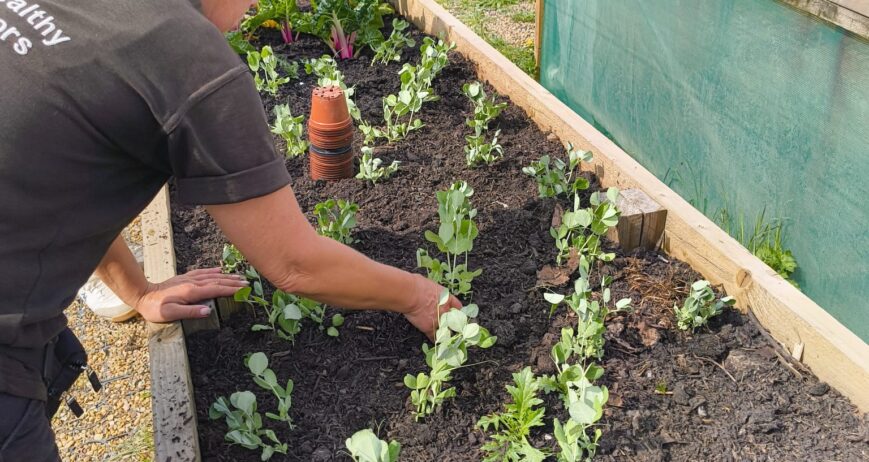 Growing Works